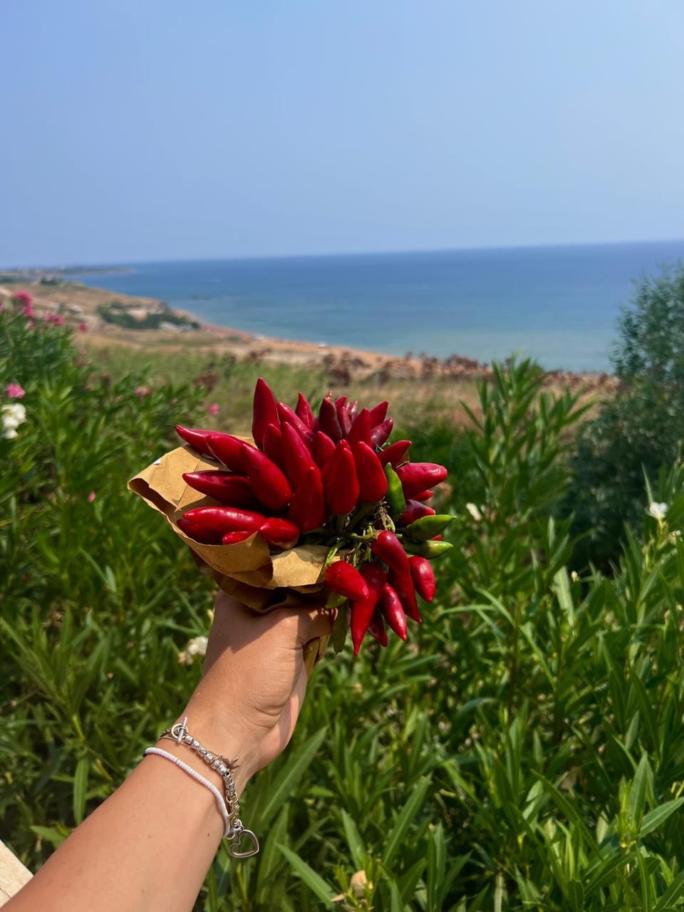 Marine Park Casa Vacanze Bed and Breakfast in Calabria