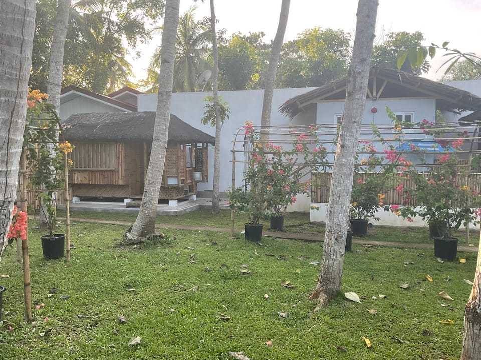 Property building, Day, Garden, Garden view