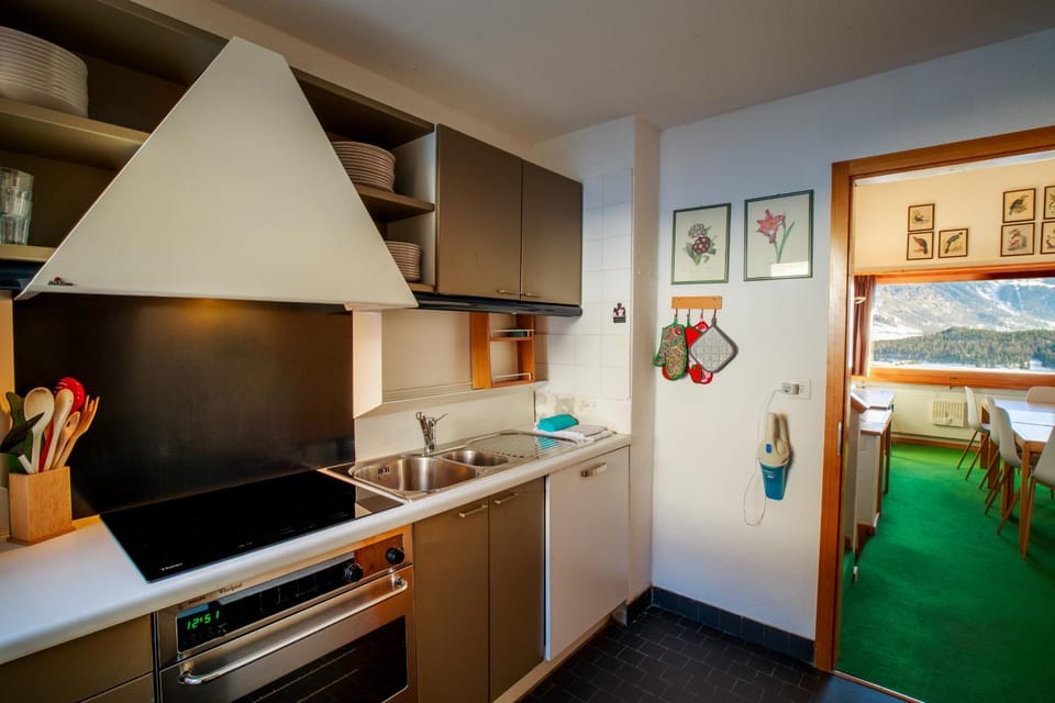 Chesa La Drosa - Celerina Apartment in Samedan