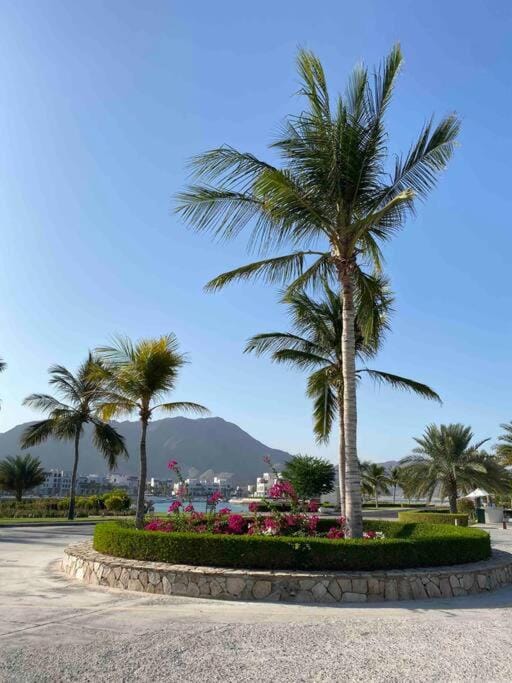 Lovely studio apartment inside Jebel Sifah resort Apartment in Muscat Governorate, Oman