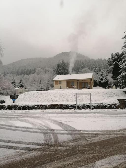 Chaleureux gîte des brocards aux pieds des sapins 3 étoiles House in Vosges