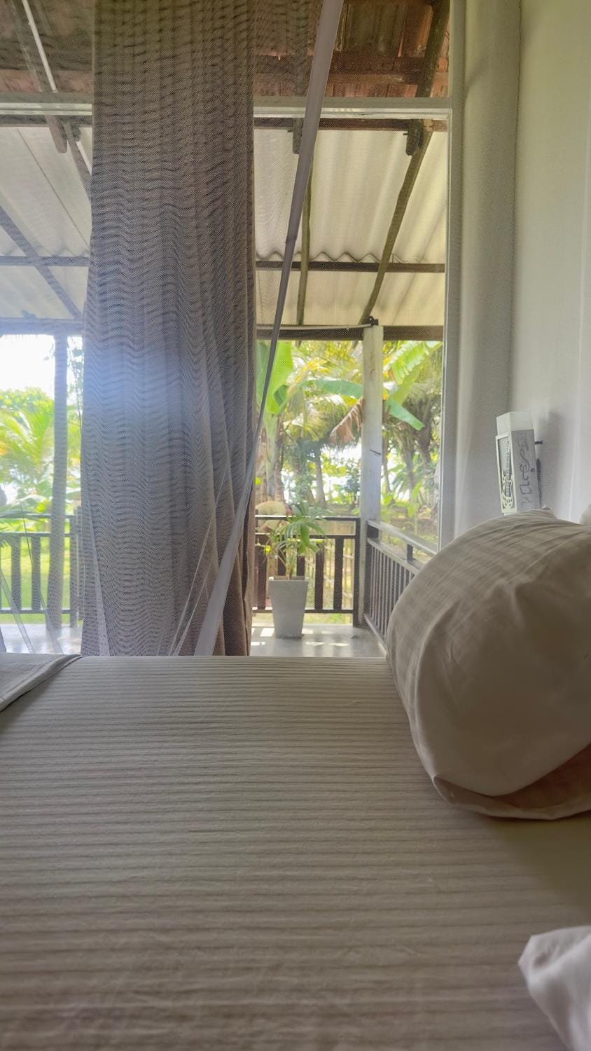 Bed, View (from property/room), Bedroom