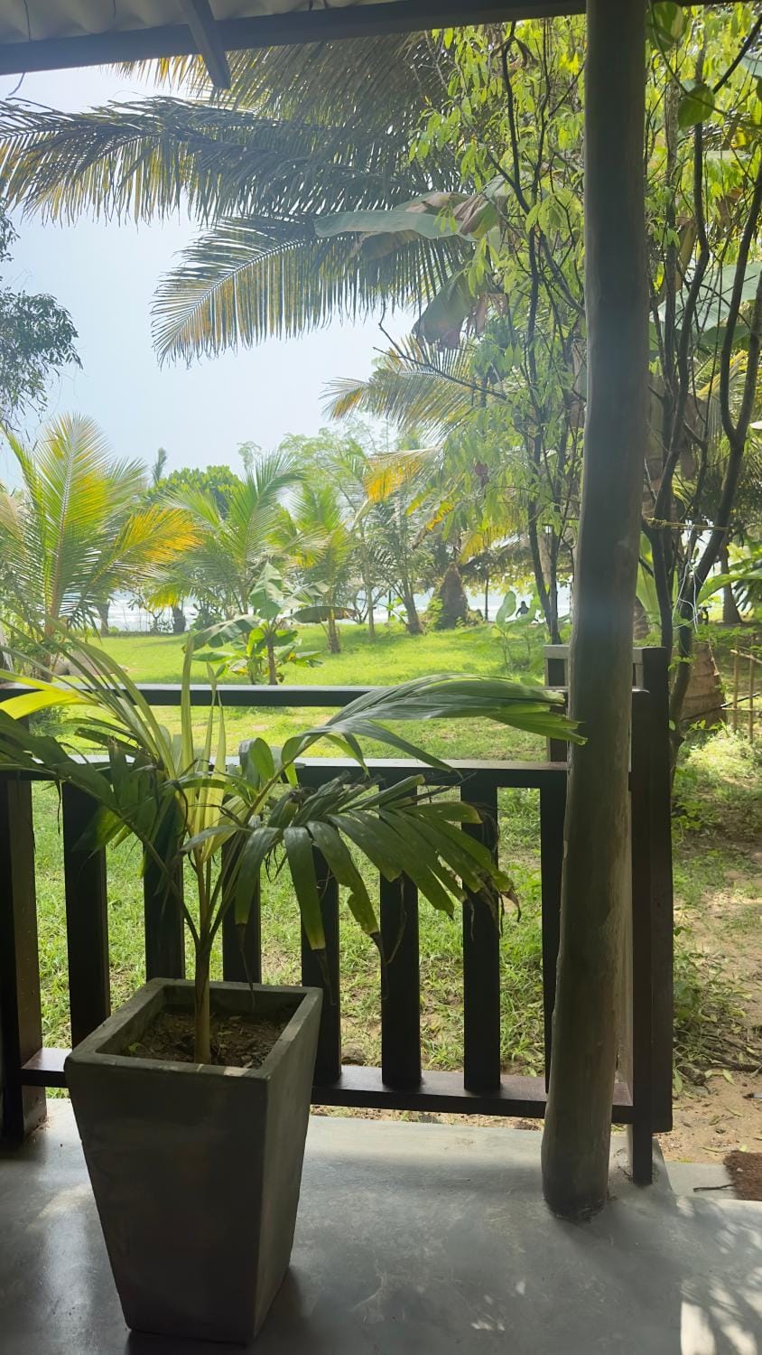 Garden, Beach, Garden view