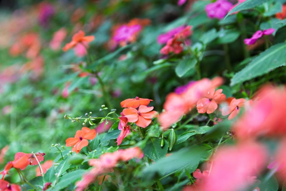 This is Okinawa Nature Stay Yanbaru Forest Bed and Breakfast in Okinawa Prefecture