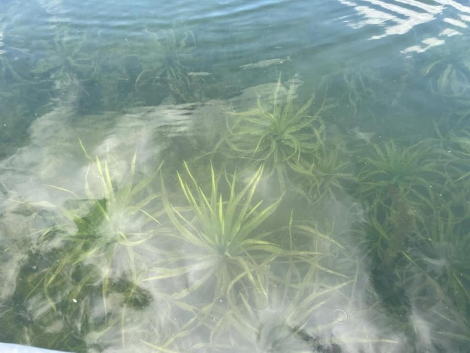 Belle ILE House in Lychen