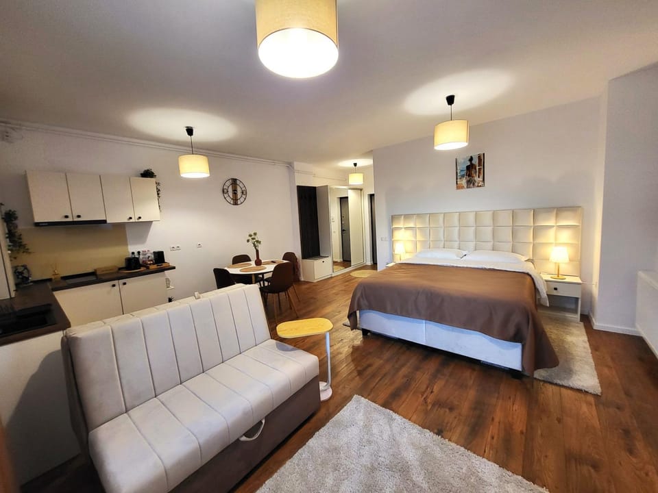 Bed, Kitchen or kitchenette, Living room, Photo of the whole room, Seating area, Bedroom, hair dresser
