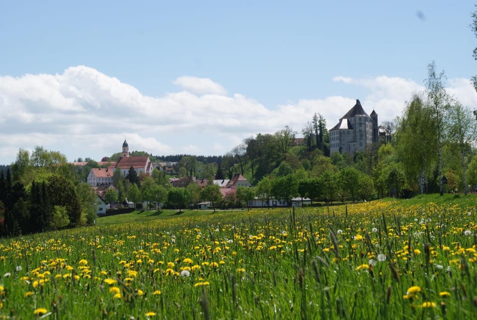 Spring, Natural landscape