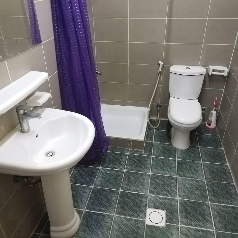 Shower, Toilet, Bathroom, bidet