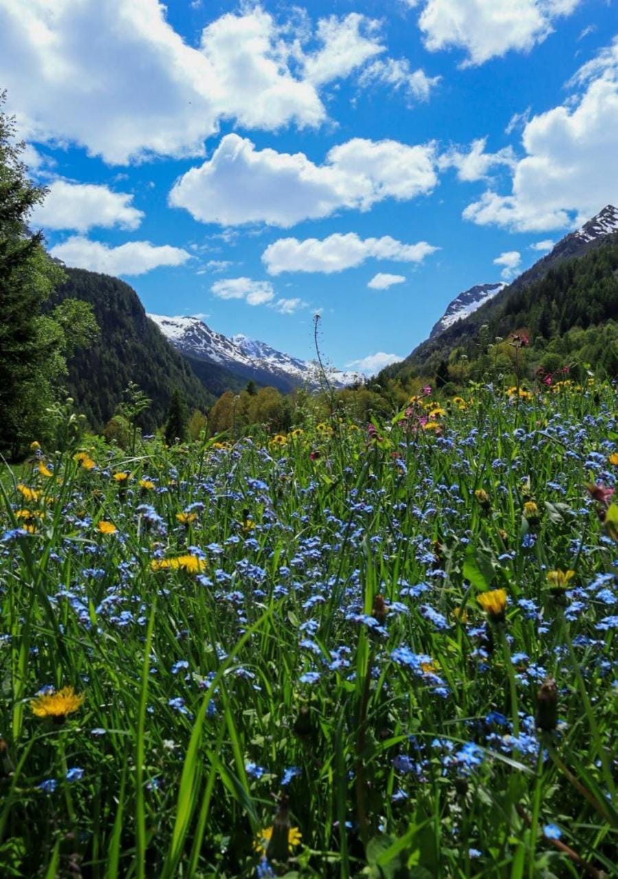 Day, Natural landscape, Mountain view