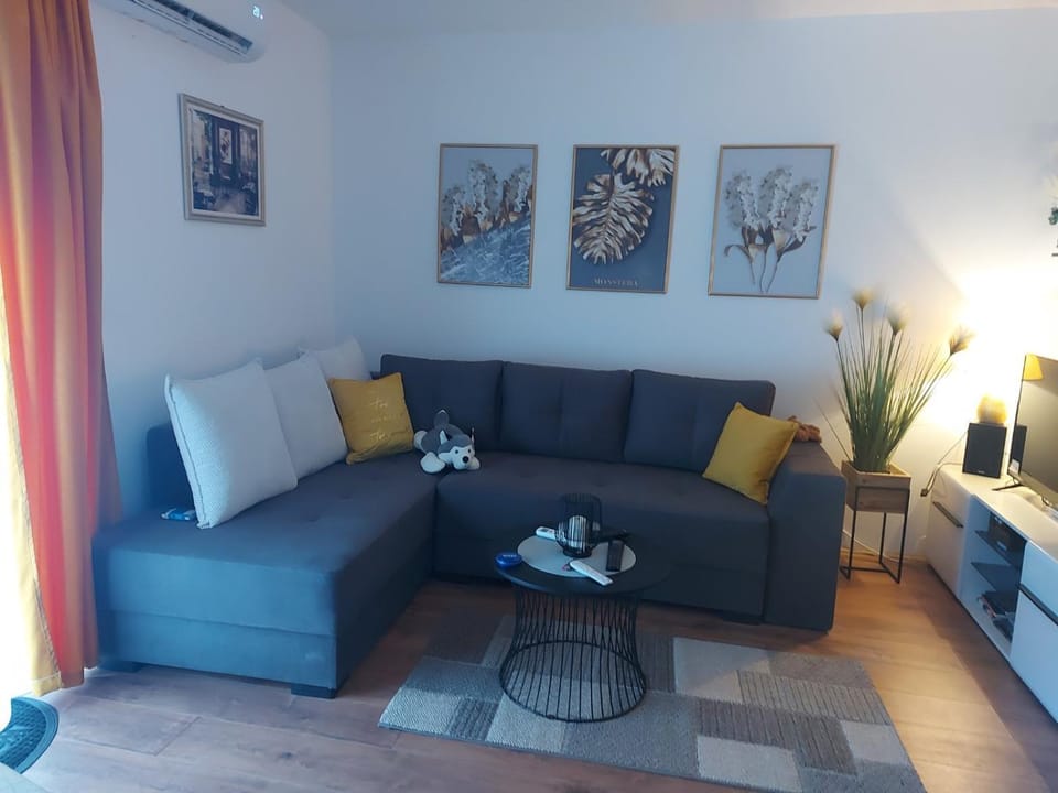 Viva Lux Apartment in Serbia