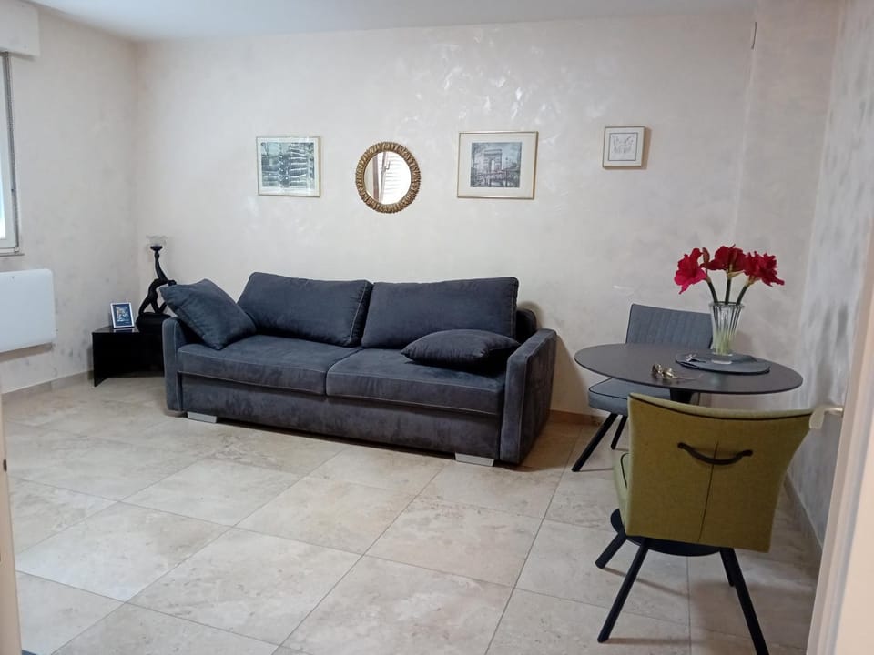 Superbe T1 - 10 min centre Apartment in Strasbourg