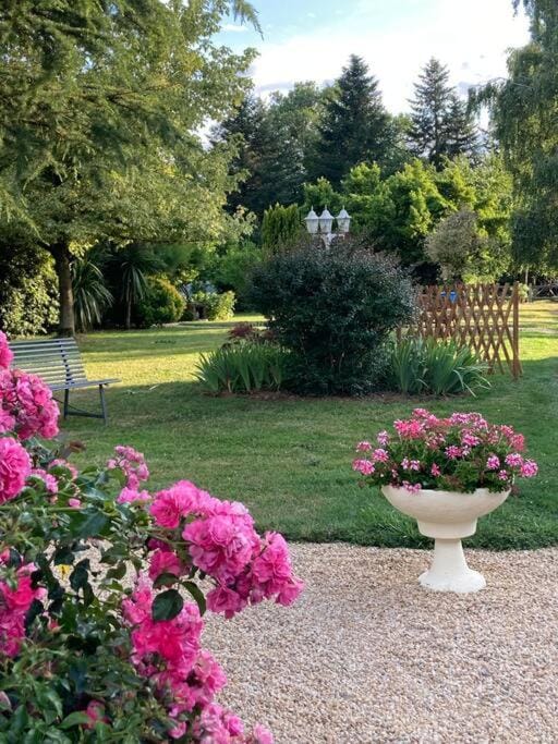 Natural landscape, Garden, Garden view