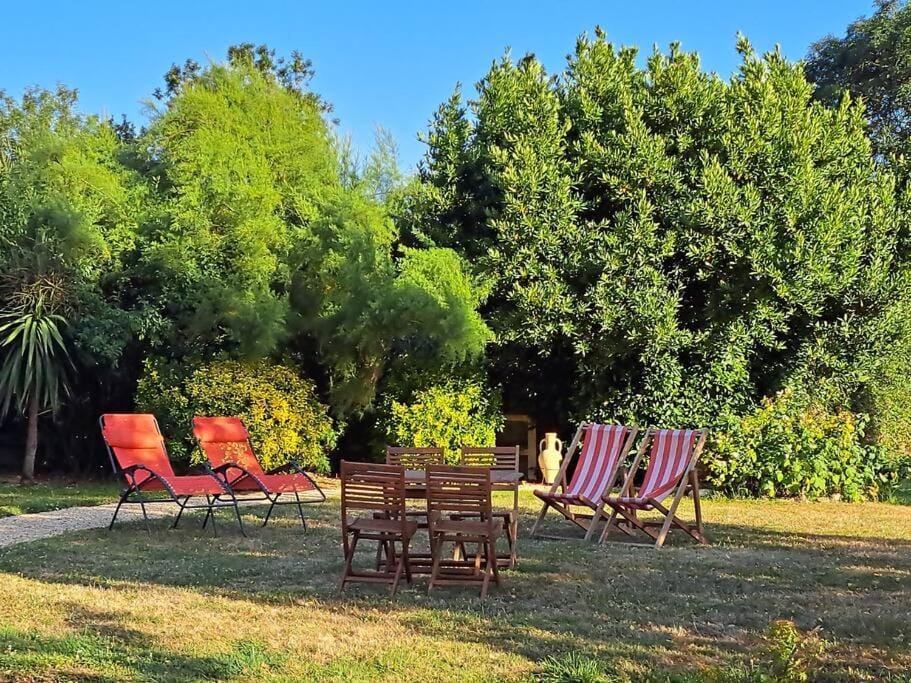 Day, Natural landscape, Garden, Garden view, sunbed