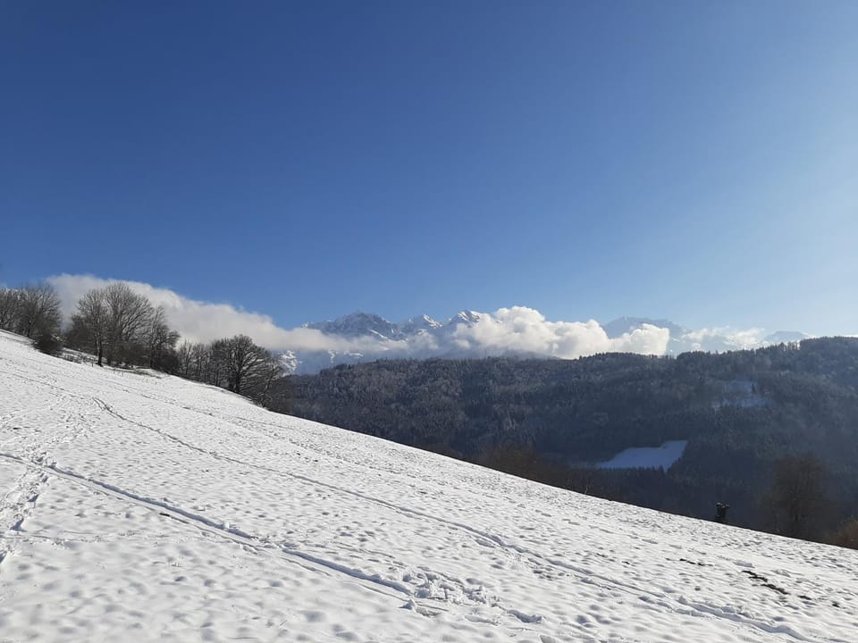 Gîte du ruisseau Apartment in Auvergne-Rhône-Alpes