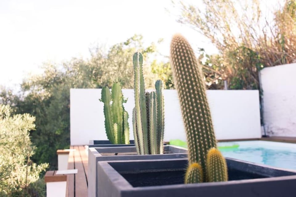 Casita avec superbe vue et piscine privée Apartment in Algodonales
