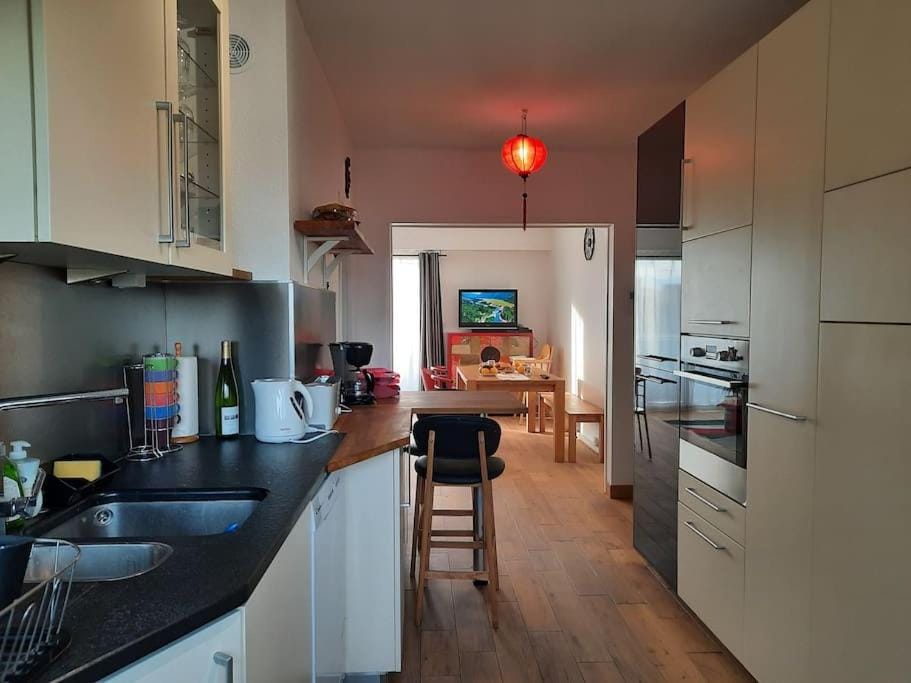 Chez Alice Apartment in Colmar