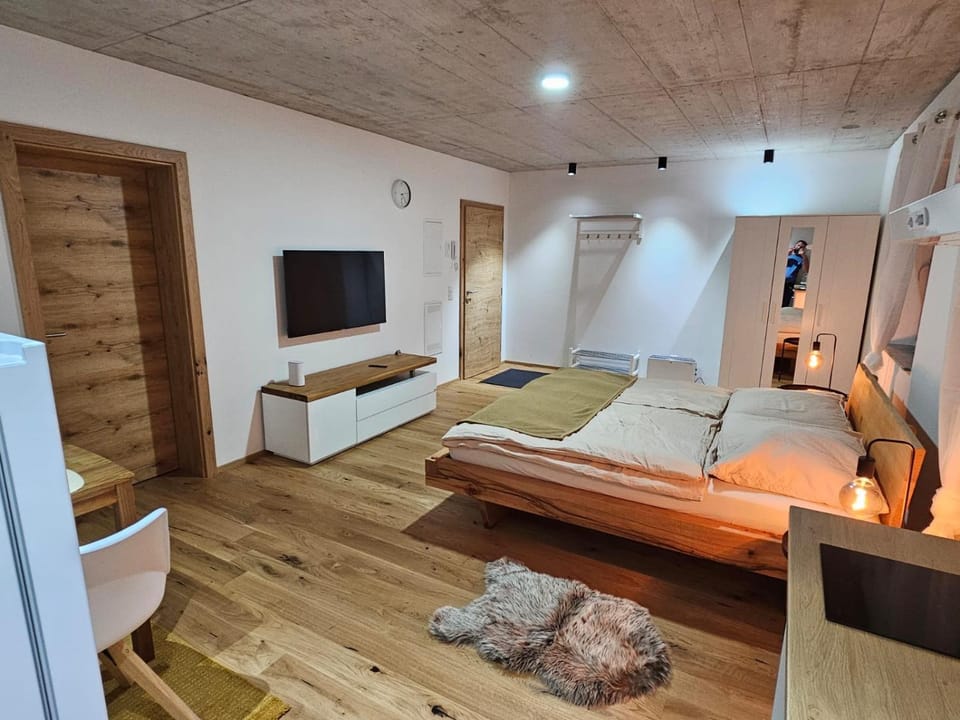 Communal lounge/ TV room, Bed, Photo of the whole room, Evening entertainment, Bedroom, wardrobe