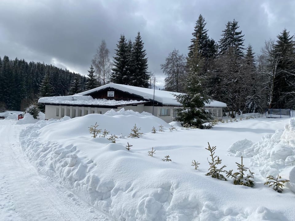 Harrachov 624 Chalet in Lower Silesian Voivodeship