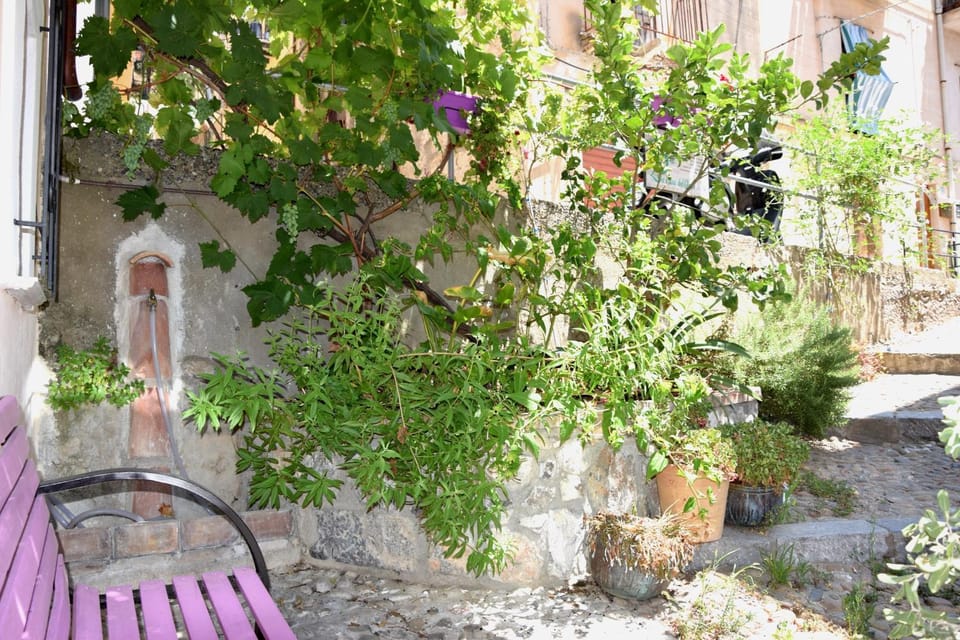 Property building, Spring, Day, Garden, Garden view