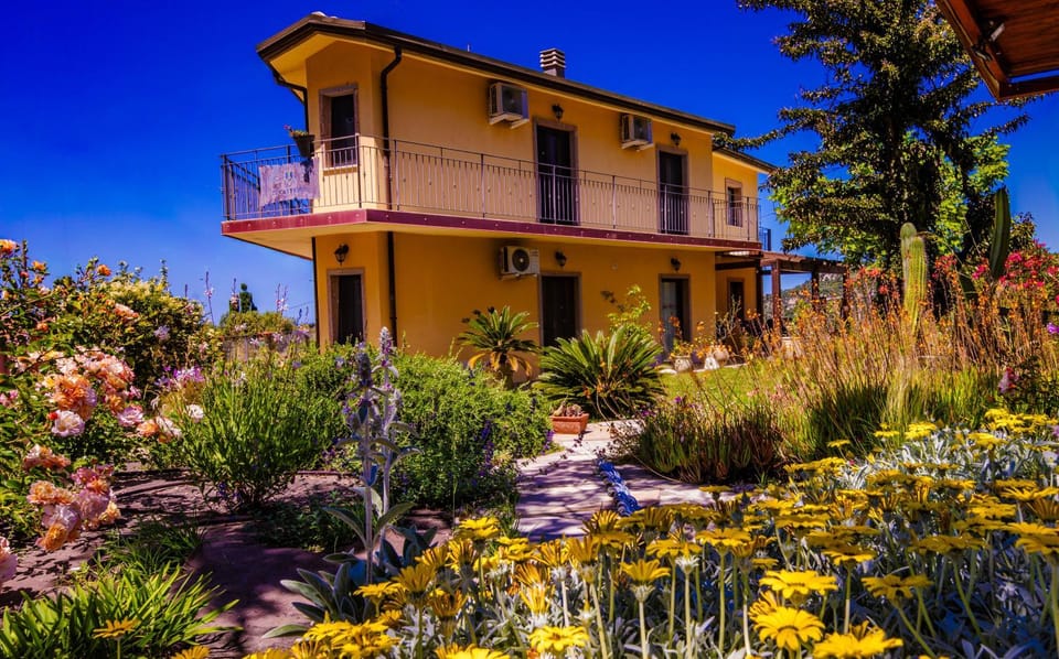 Property building, Garden view
