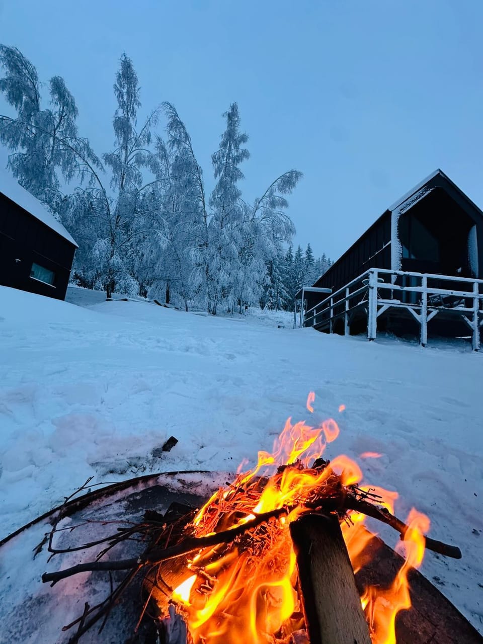 Black Hills Czarna Góra / Bike ^ Ski Chalet in Lower Silesian Voivodeship