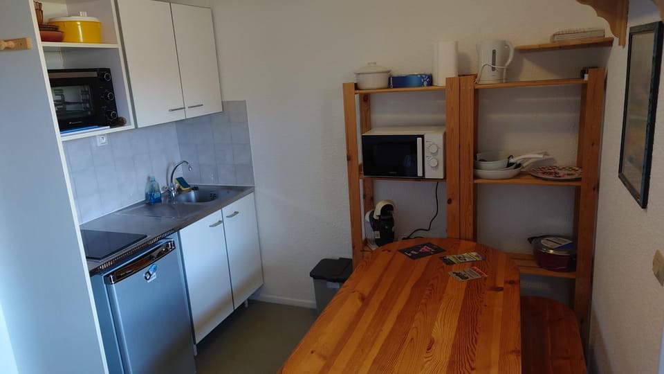 Kitchen or kitchenette, minibar, pet friendly, stove