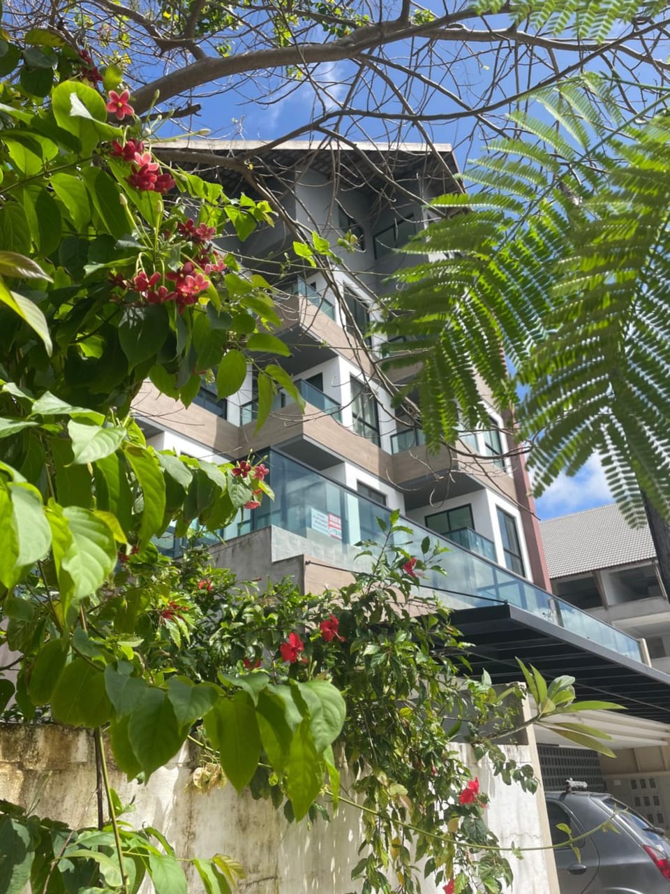 Property building, Day