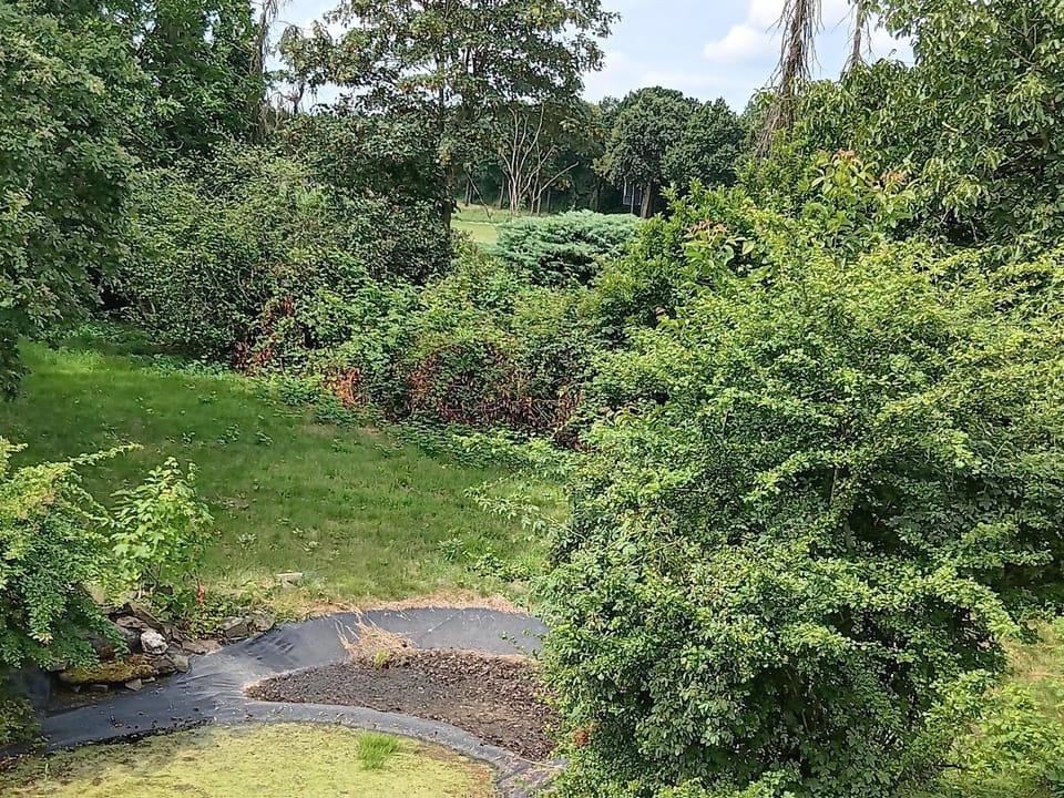 Spring, Day, Natural landscape, Garden, Garden view