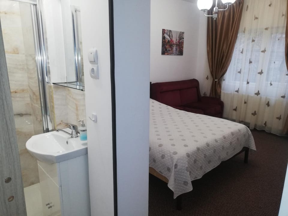 Casa Bucur Bed and Breakfast in Romania