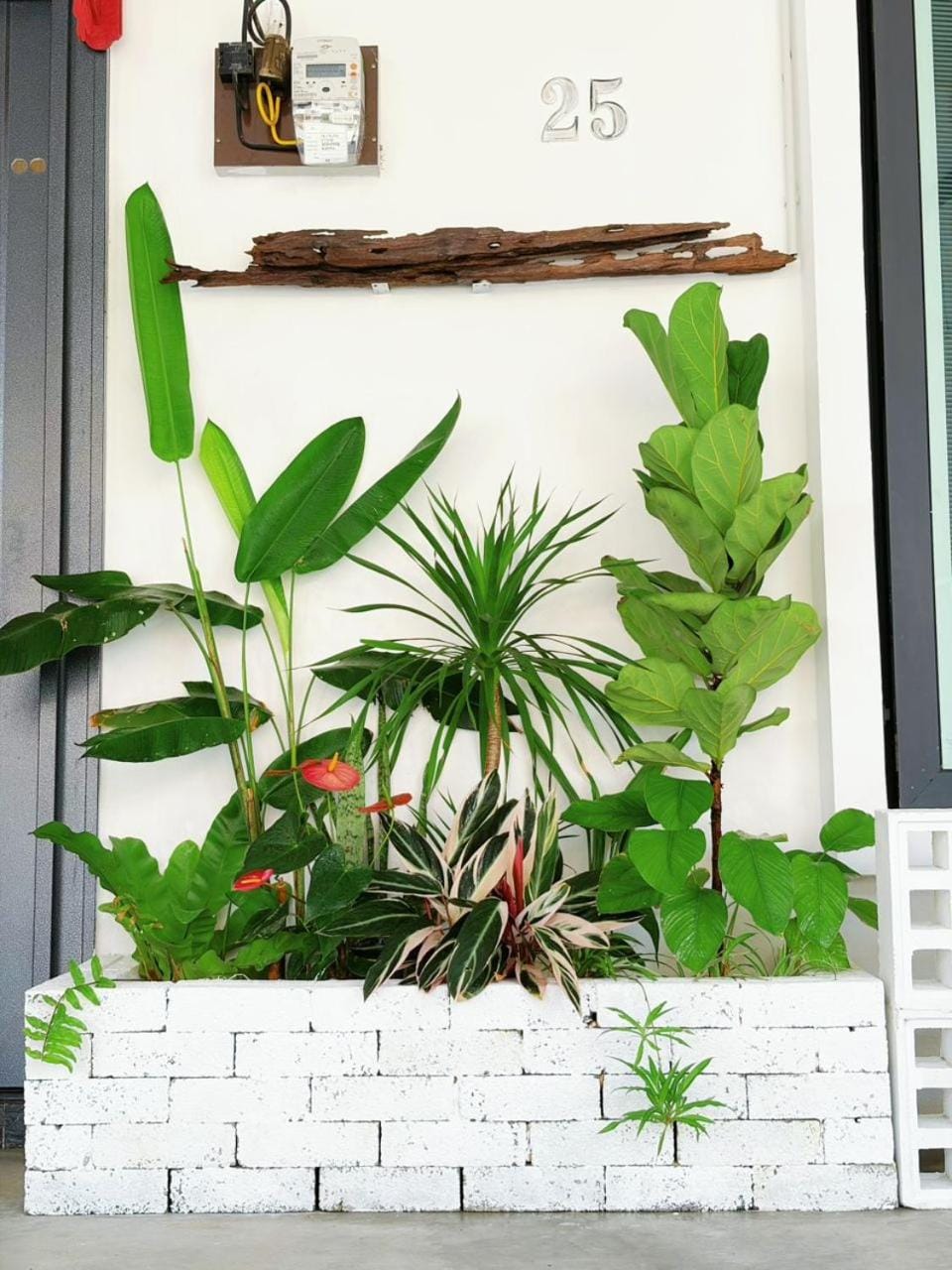 Garden view