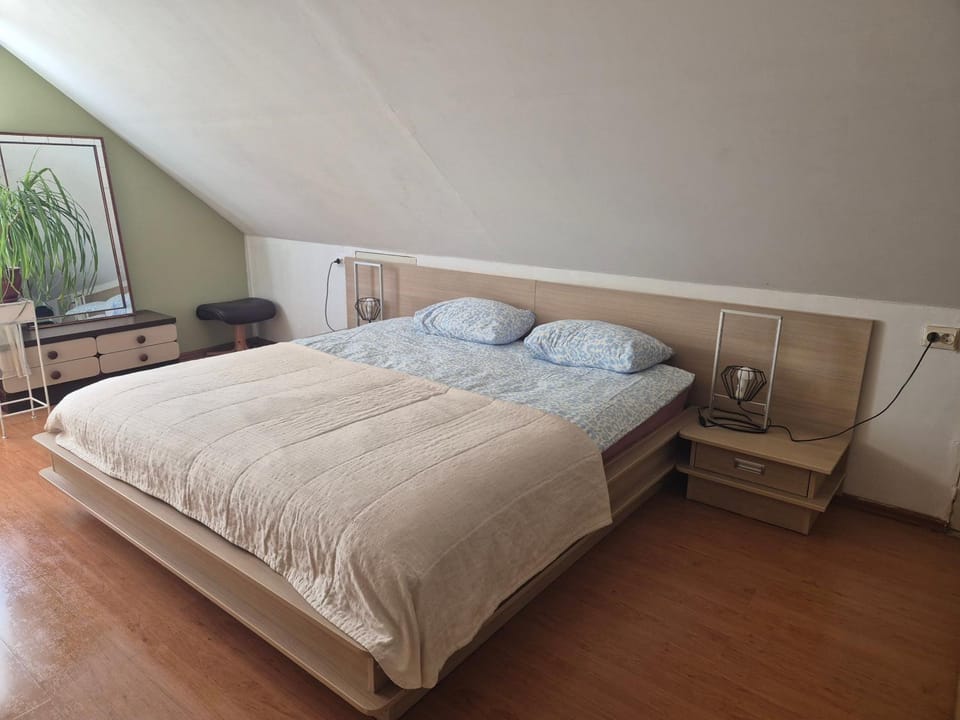 Spacious Apartment Panemune Apartment in Lithuania