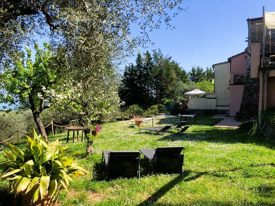 Garden, Garden view