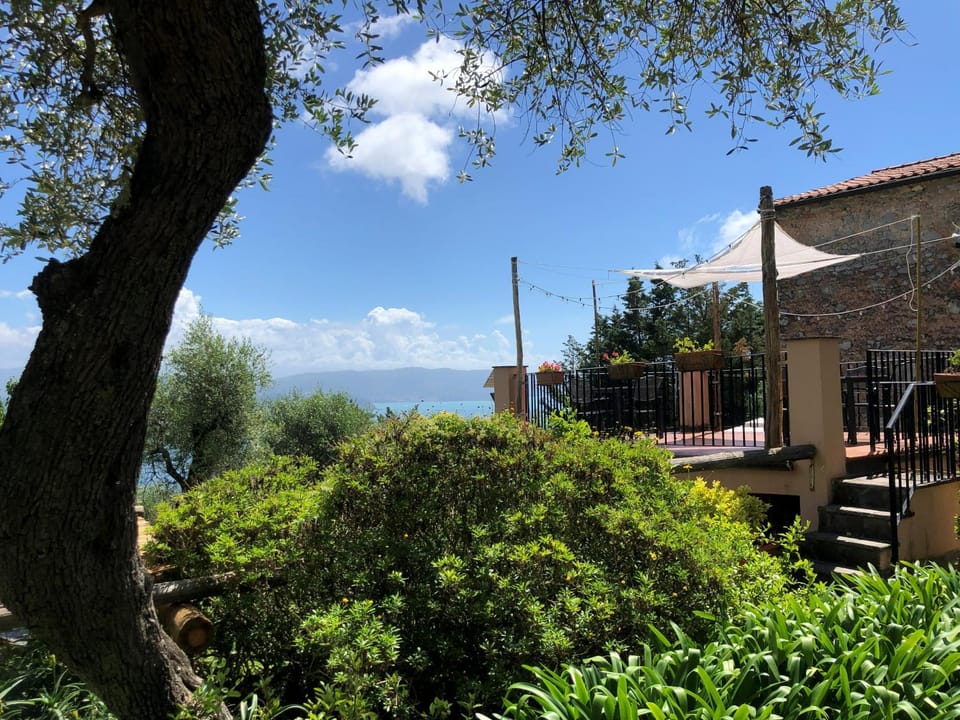 Garden, Balcony/Terrace, Garden view