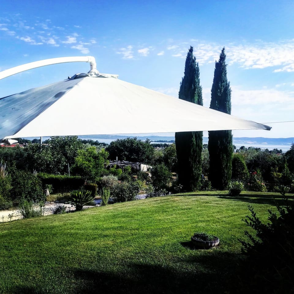 Natural landscape, Garden, Lake view