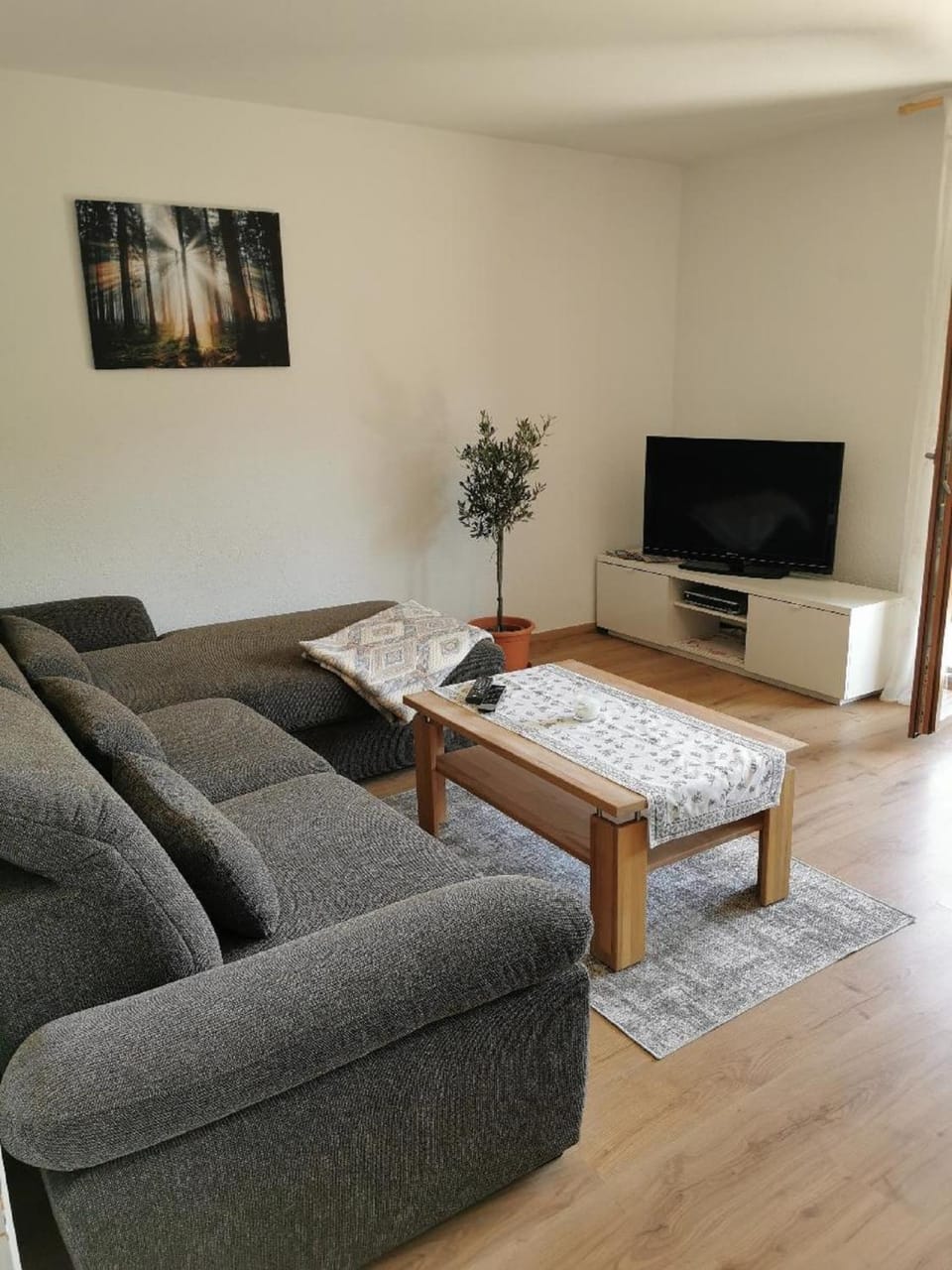 TV and multimedia, Living room