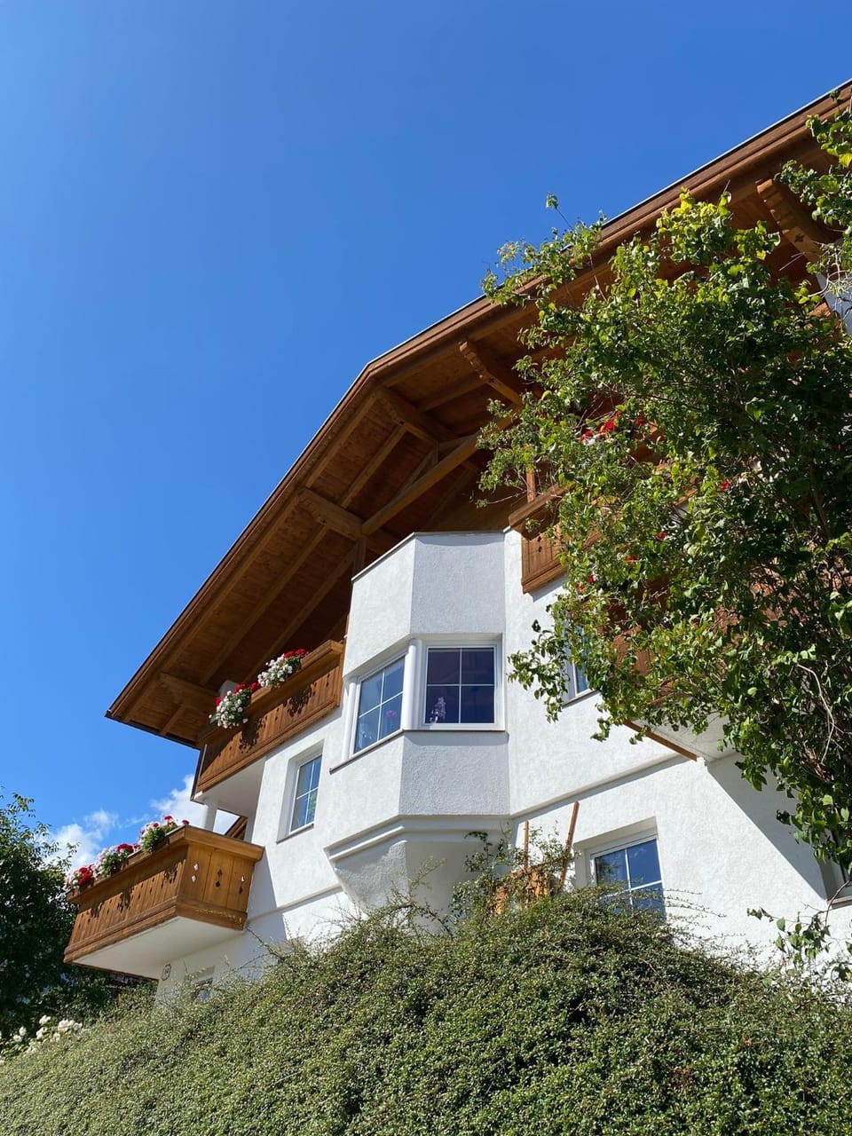 Property building, Day