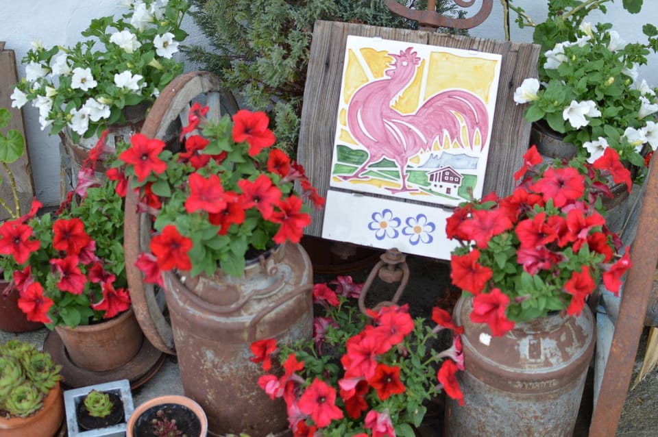 Logo/Certificate/Sign