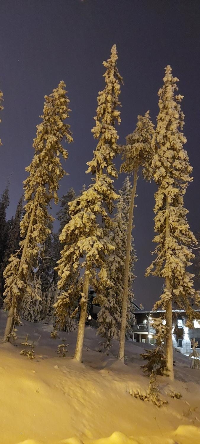 Viihtyisä lomahuoneisto Rukalla! Apartment in Lapland