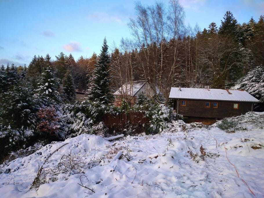 Day, Natural landscape, Winter