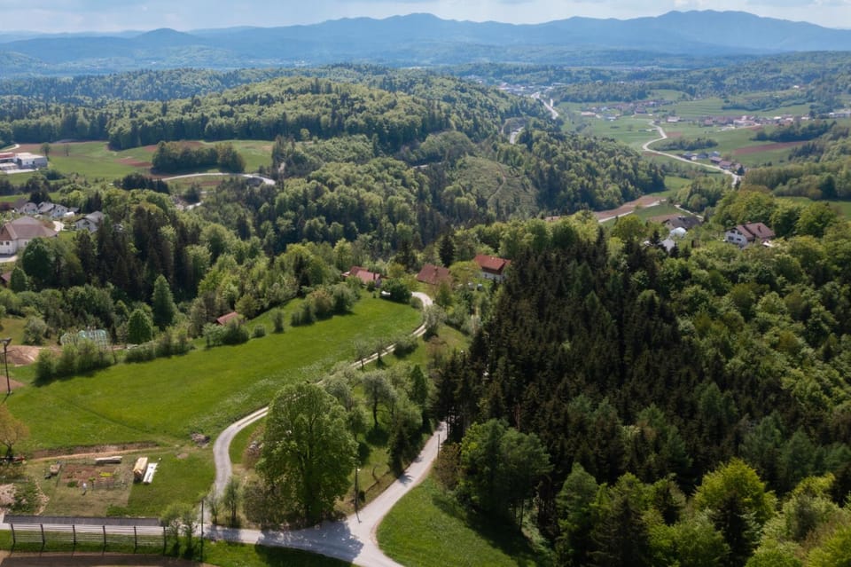 Neighbourhood, Bird's eye view