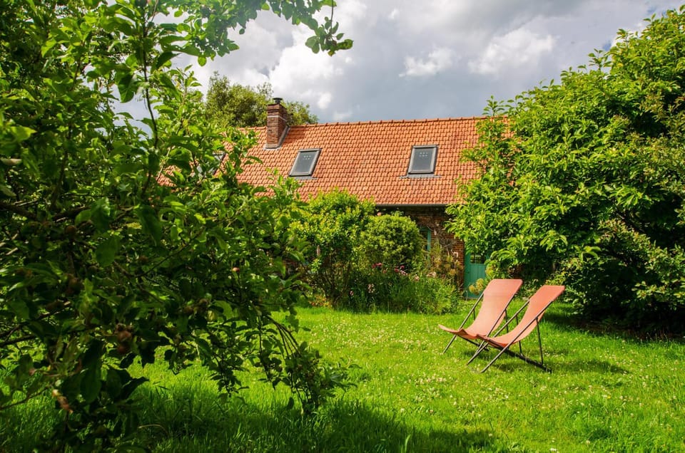 Patio, Garden, Garden view
