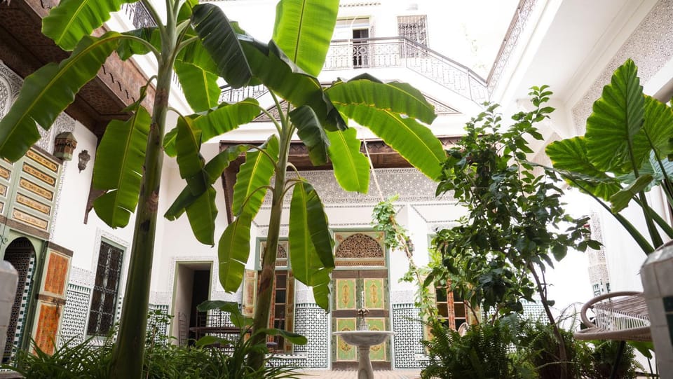 Property building, Patio, Garden, Garden view