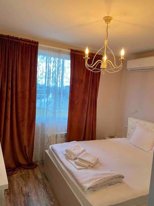 Stylish Magenta Apartment - terrace & free parking Apartment in Sofia