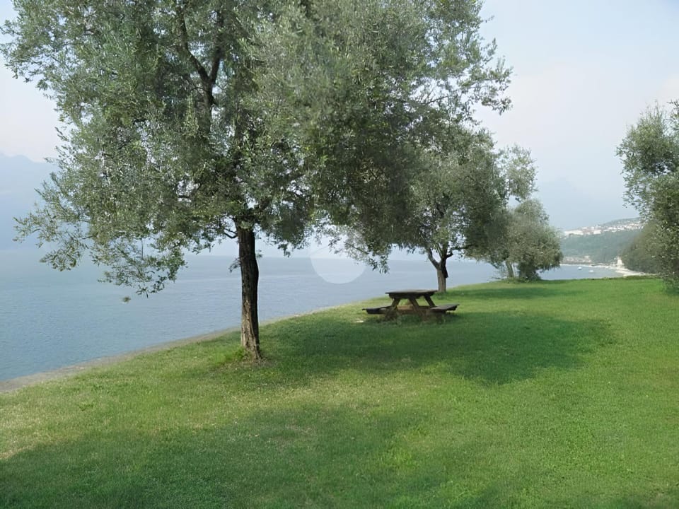 Lake view