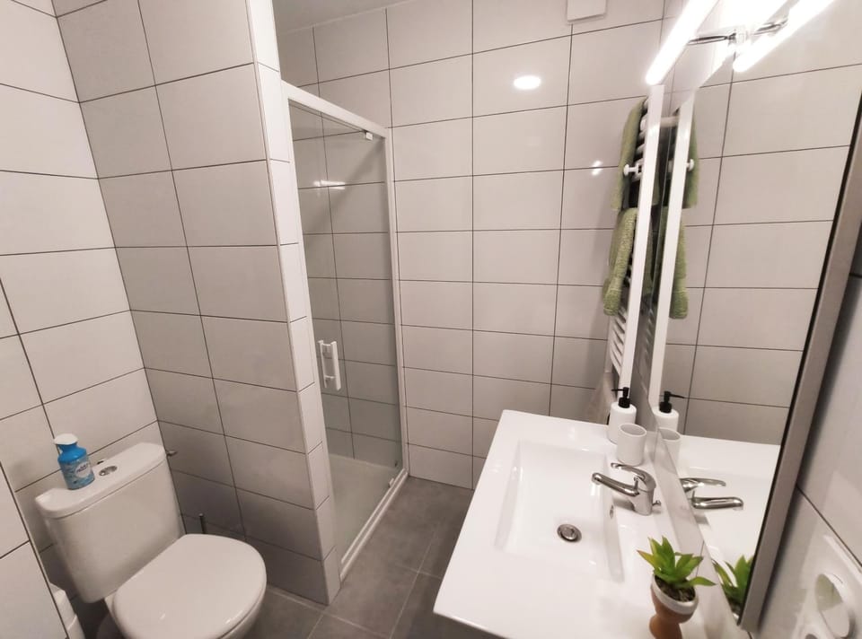 Shower, Toilet, Bathroom, towels