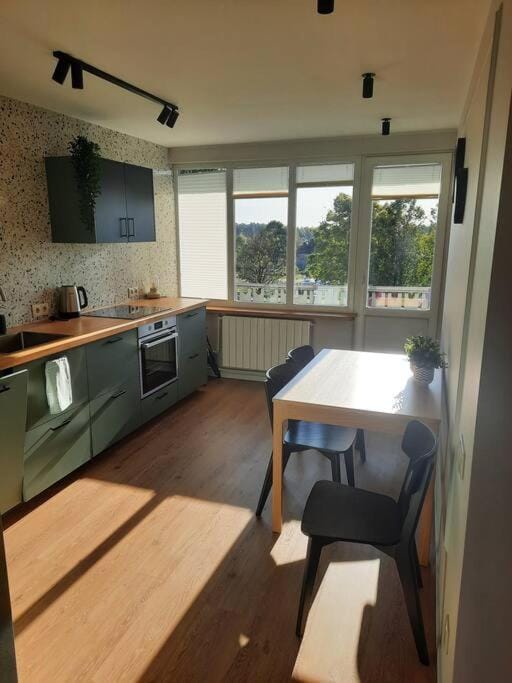 Kitchen or kitchenette, Dining area, oven, stove
