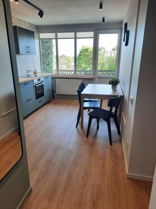 Kitchen or kitchenette, Dining area, oven, stove