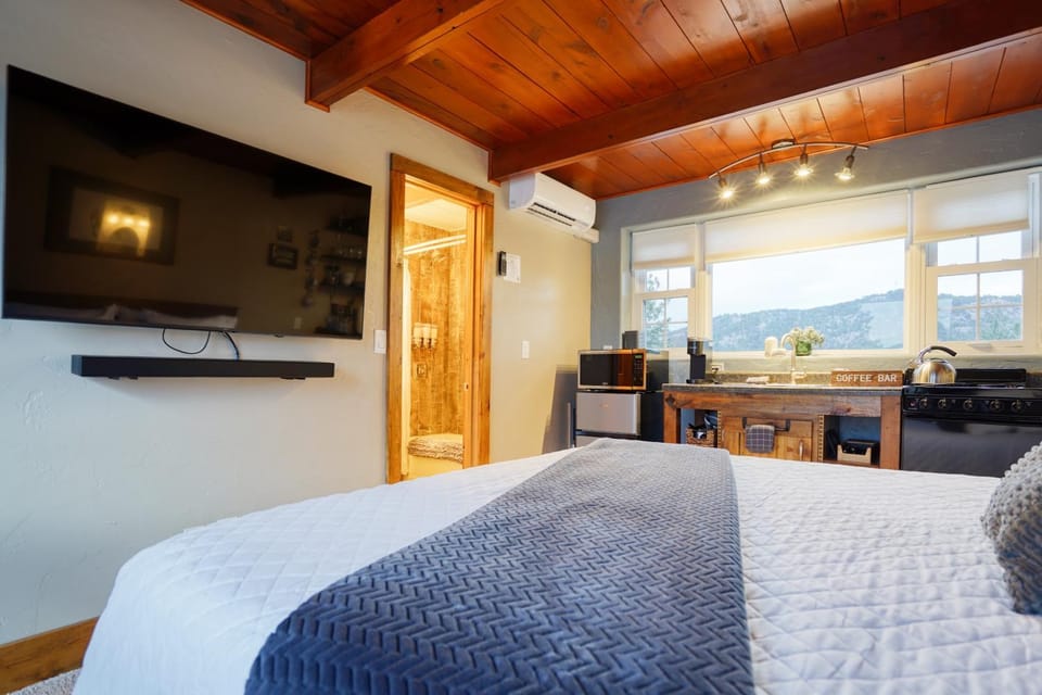 Bed, TV and multimedia, Kitchen or kitchenette, Bedroom