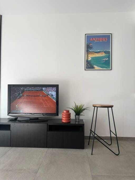 TV and multimedia
