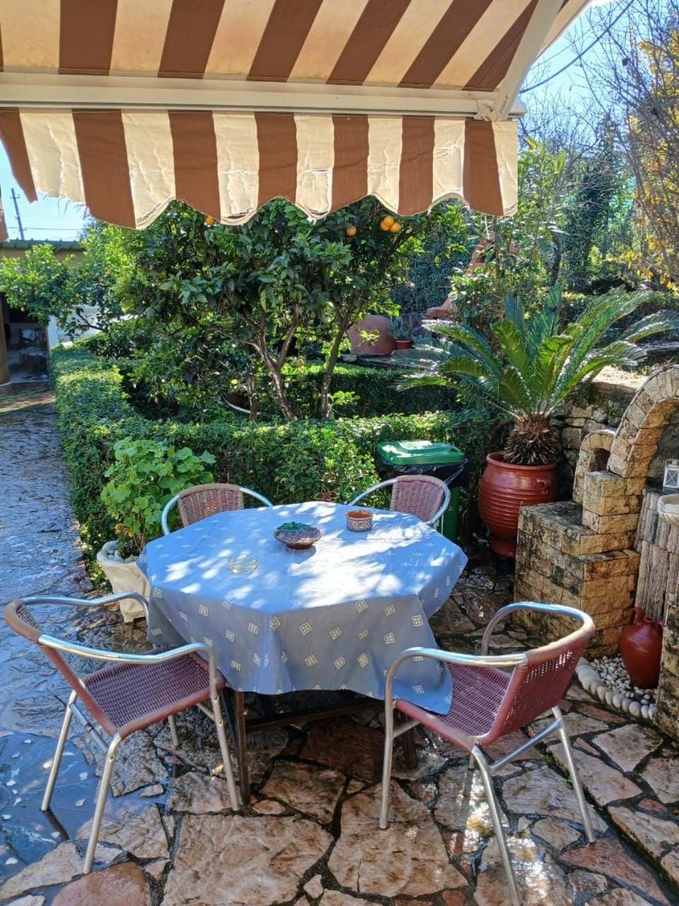 Patio, Spring, Day, Garden, Dining area, Garden view
